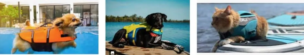 cani e gatti in barca con giubbotti